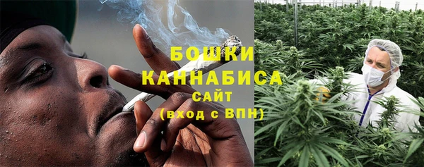 PSILOCYBIN Армянск