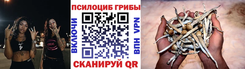 Галлюциногенные грибы мухоморы  закладки  Артёмовский 
